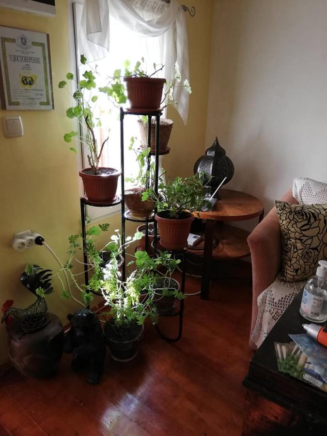 Guest House Vodolei كوتيل المظهر الخارجي الصورة