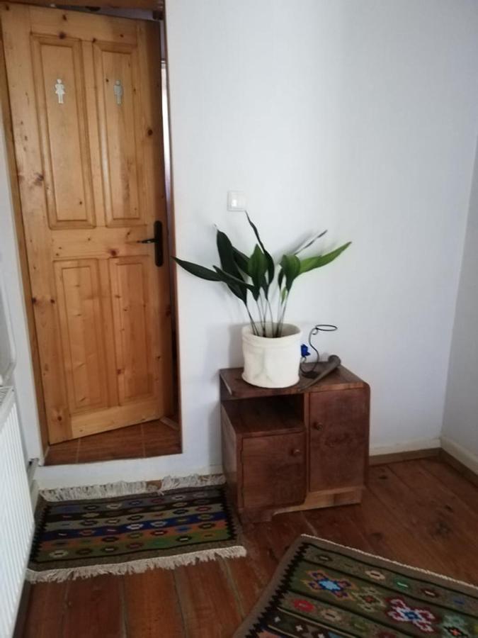 Guest House Vodolei كوتيل المظهر الخارجي الصورة