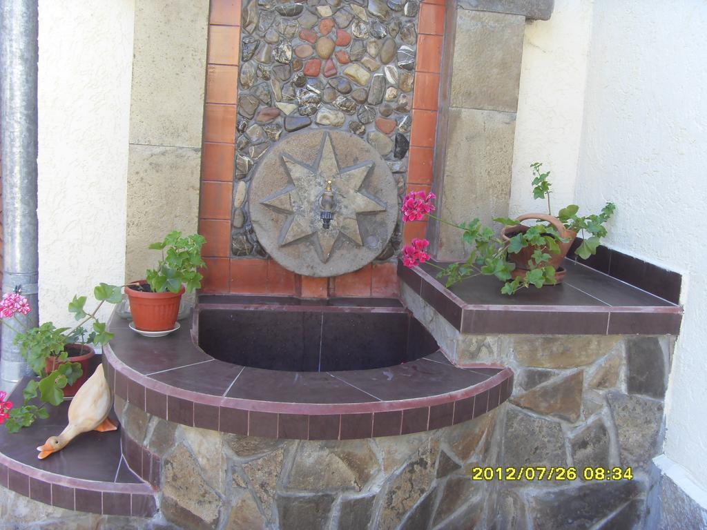 Guest House Vodolei كوتيل المظهر الخارجي الصورة