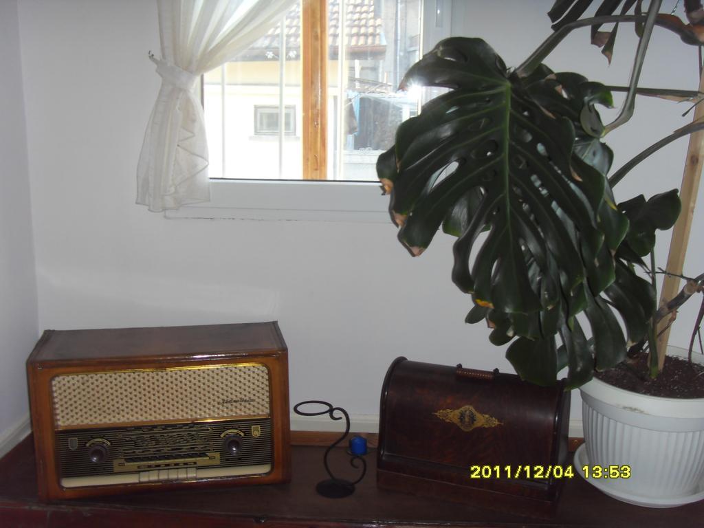 Guest House Vodolei كوتيل المظهر الخارجي الصورة